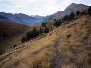 single track da sogno verso il Colle Chialdoletta