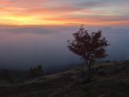 è l'alba