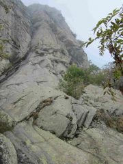 attacco della via