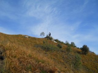 al freidour