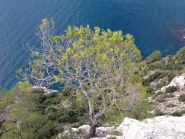 Vista dalla sosta S1