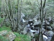 Torrente Bagnone