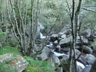 Torrente Bagnone