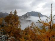 Colori sopra il grigio