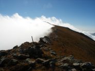 Bertrand da Cima di Velega