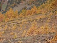 05 - Autunno (1024x768)