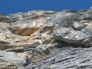 Halma terza lunghezza: per dove passare? 