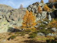 AUTUNNO IN CLAVALITE'