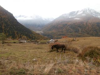la partenza da Gimillian  con un  pò di compagnia...