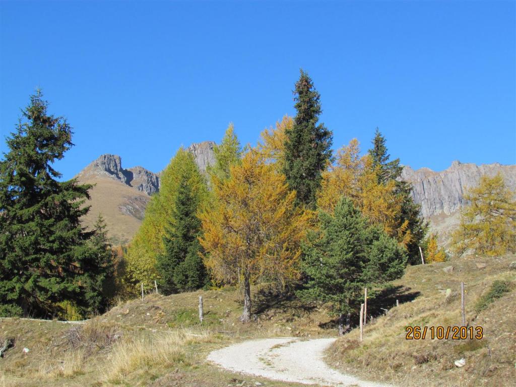 Quasi al bivio Rifugio Malga Conseria/Passo 5 Croci