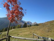 Autunno e bei panorami