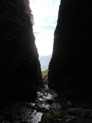 La sorpresa della Reina