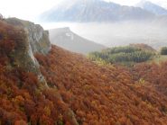 Altro che i colori di Hallowen!!!