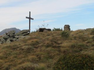 Testarebbo