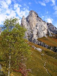Torre Cecilia e Torrione del Cinquantenario