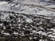 08 - neve insidiosa tra grossi blocchi sotto il colle Livournea (1024x768)