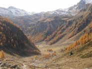 13 - autunno (1024x768)