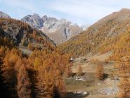 03 - esplosione di colori autunnali (1024x768)