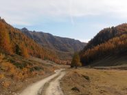 15 - autunno (1024x768)