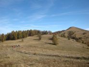 Colletta di Rionard e Cima di Marta