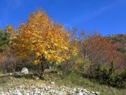Colori bellissimi