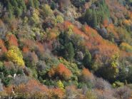 Colori autunnali
