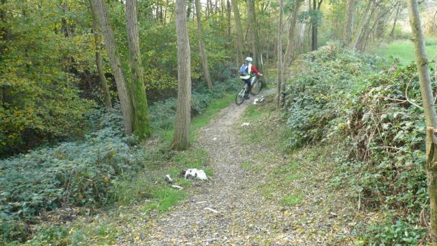 su un tratto di single track facile e divertente