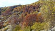 lo spettacolo dell'autunno