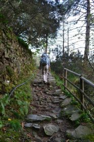 in salita verso il santuario