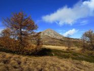 Colori dal Bertrand