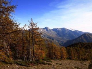 Lungo il sentiero