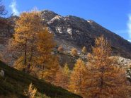 Colori dal versante est del Bertrand