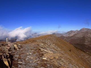 Sul crinale