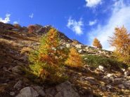 Colori dal Bertrand