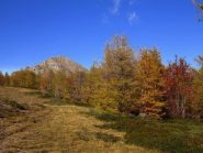 Appare il Bertrand