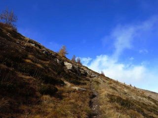 Sentiero verso il crinale