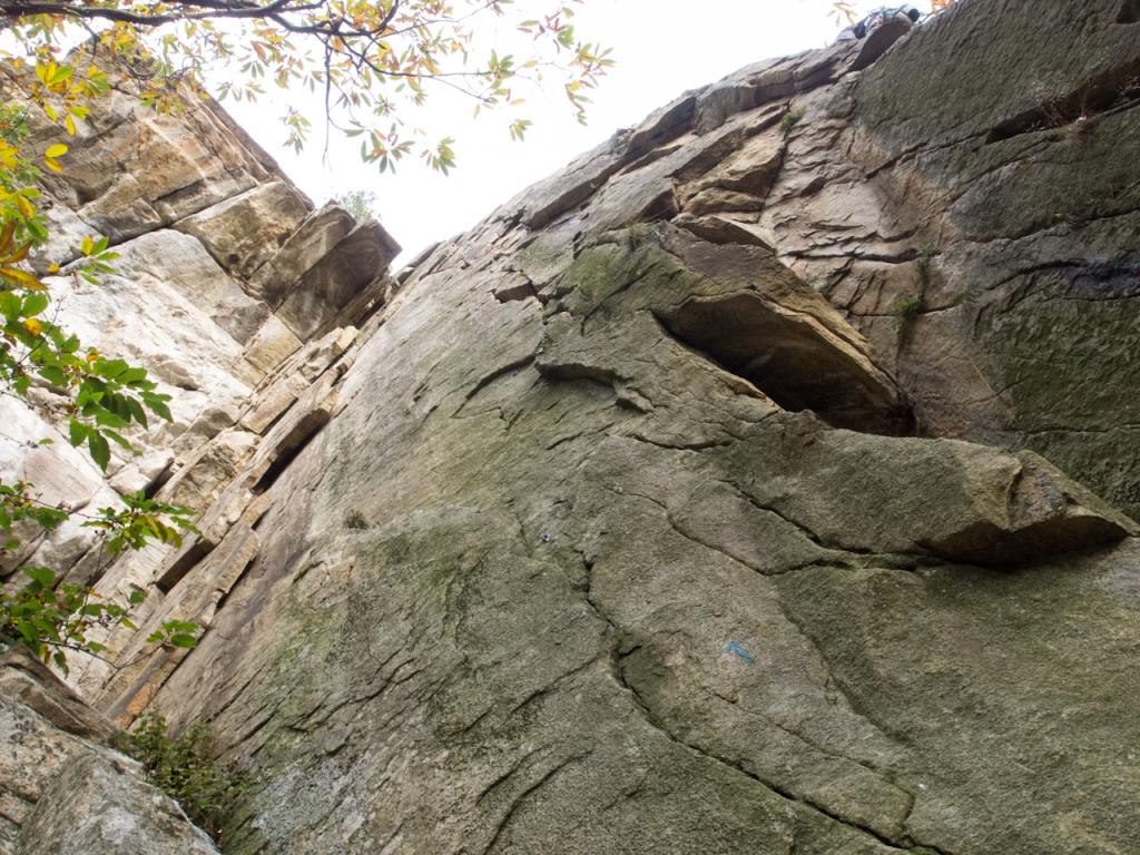 al centro la linea della fessura