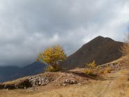 Caldi colori lungo la mulattiera oltre la baisse de Barsenzane