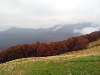 Alpe Pero di sopra