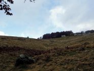 Illusoria schiarita all'Alpe Pero