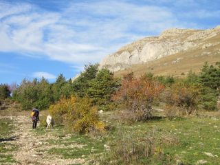 Autunno!