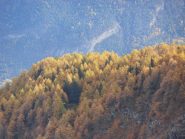 06 - autunno (1024x768)