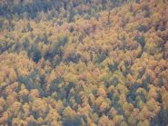 07 - autunno (1024x768)