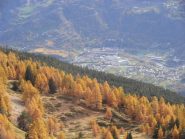 05 - colori autunnali verso il fondovalle (1024x768)