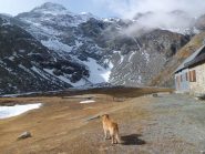 Al rifugio