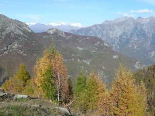 Verso Dame e Rosa dal Retempio