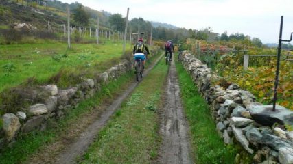 tra i visgneti di Piverone