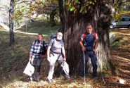 Castagno secolare scendendo a Machaby