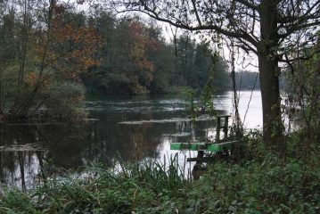 La confluenza nel Langosco