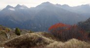 Autunno 